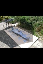 Lingerie Clad Amateur And Professional ladies