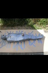 Lingerie Clad Amateur And Professional ladies