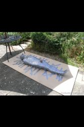 Lingerie Clad Amateur And Professional ladies