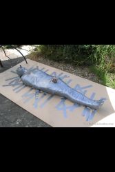 Lingerie Clad Amateur And Professional ladies