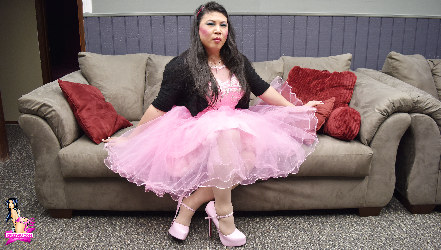 Shemale Transvestites Lingerie Clad Amateur And Professional ladies