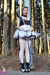 Shemale Transvestites Lingerie Clad Amateur And Professional ladies