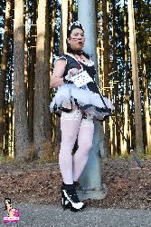 Shemale Transvestites Lingerie Clad Amateur And Professional ladies