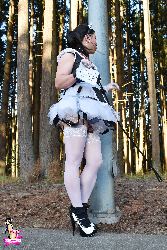 Shemale Transvestites Lingerie Clad Amateur And Professional ladies