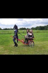 Lingerie Clad Amateur And Professional ladies