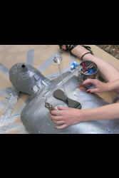 Lingerie Clad Amateur And Professional ladies